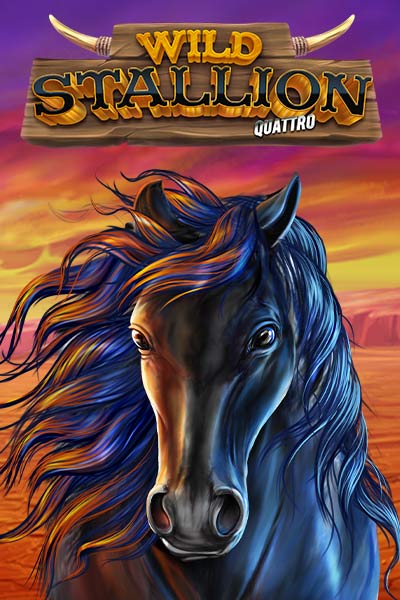 Wild Stallion
