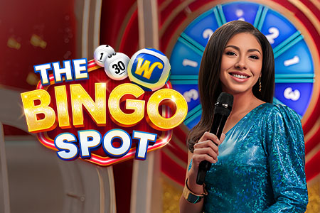 The Bingo Spot