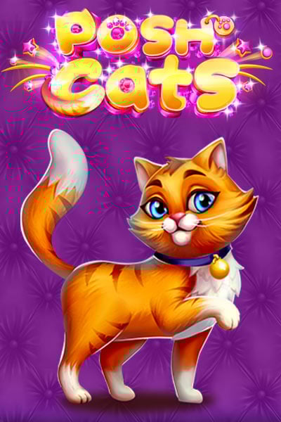Posh Cats